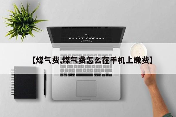 【煤气费,煤气费怎么在手机上缴费】